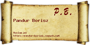 Pandur Borisz névjegykártya